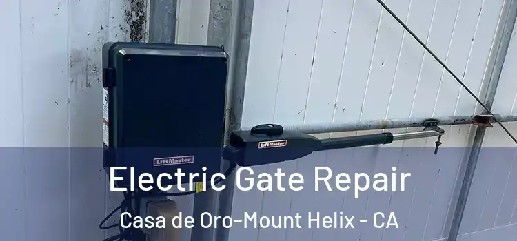 Electric Gate Repair Casa de Oro-Mount Helix - CA