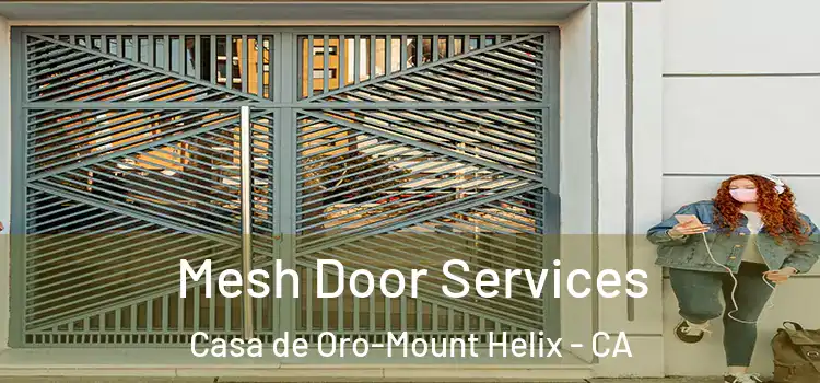 Mesh Door Services Casa de Oro-Mount Helix - CA